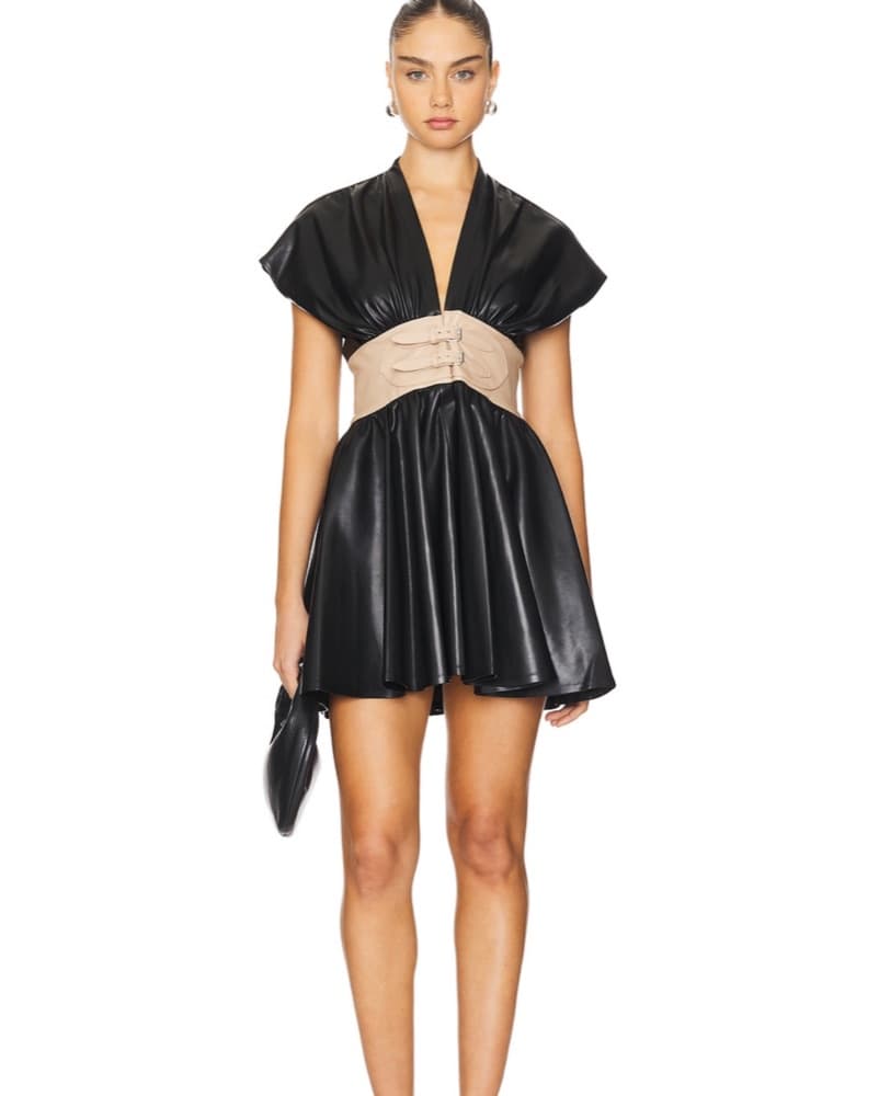 Alexis Berlin Dress - Image 1