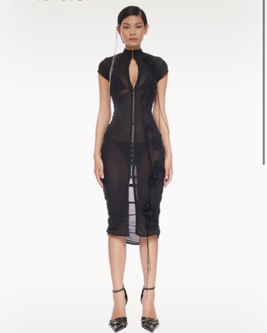 Fanci Club Mesh Dress - Image 3