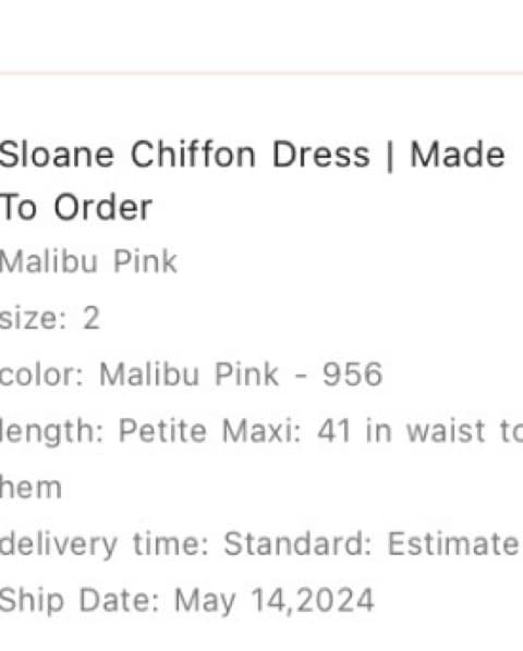 Revelery Sloane Chiffon Dress  - Image 2