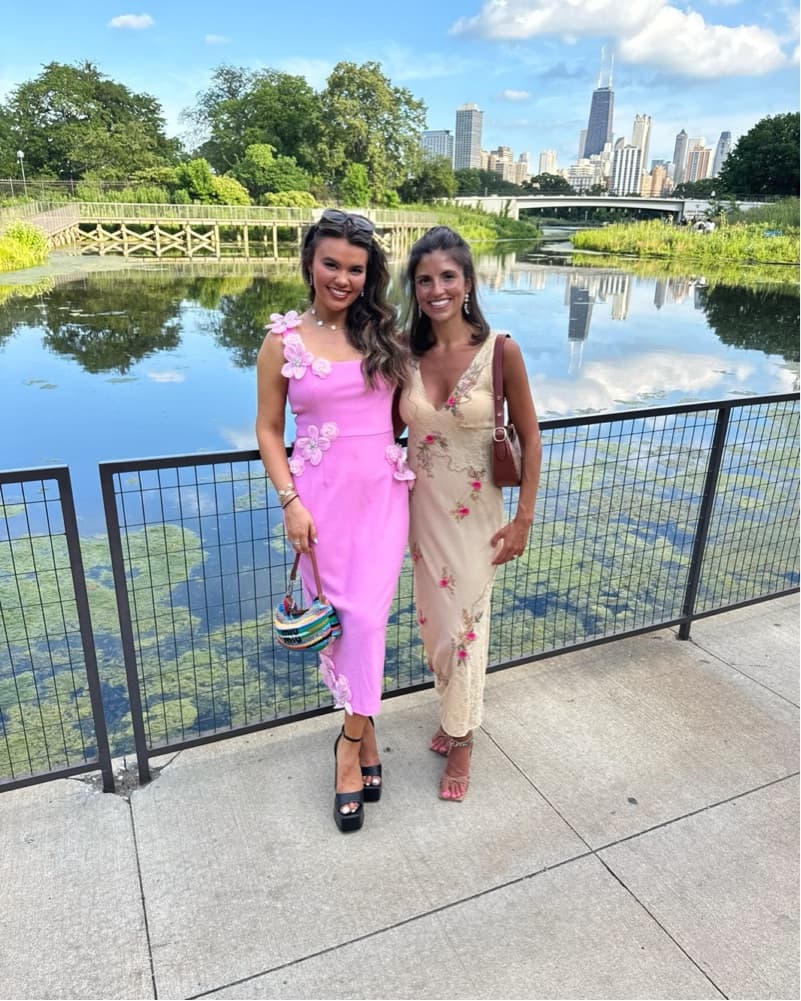 Pink Dress Elliatt from Revolve - Image 2