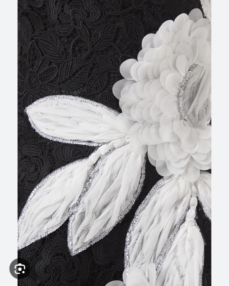 Costarellos Formal Black Lace Gown - Image 5