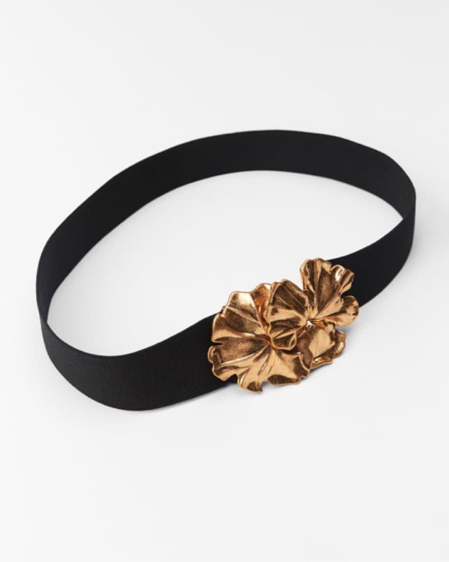 Zara Gold Belt  - Image 1