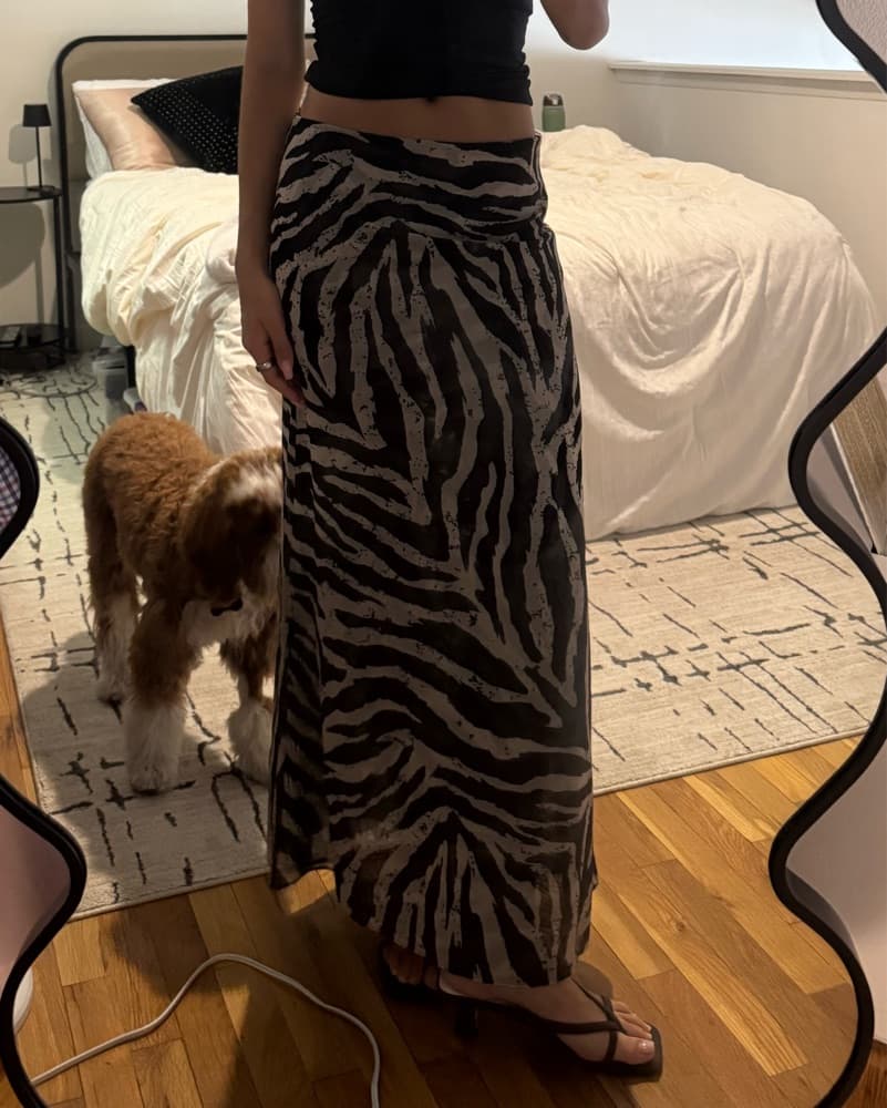 Princess Polly Zebra Maxi Skirt  - Image 1
