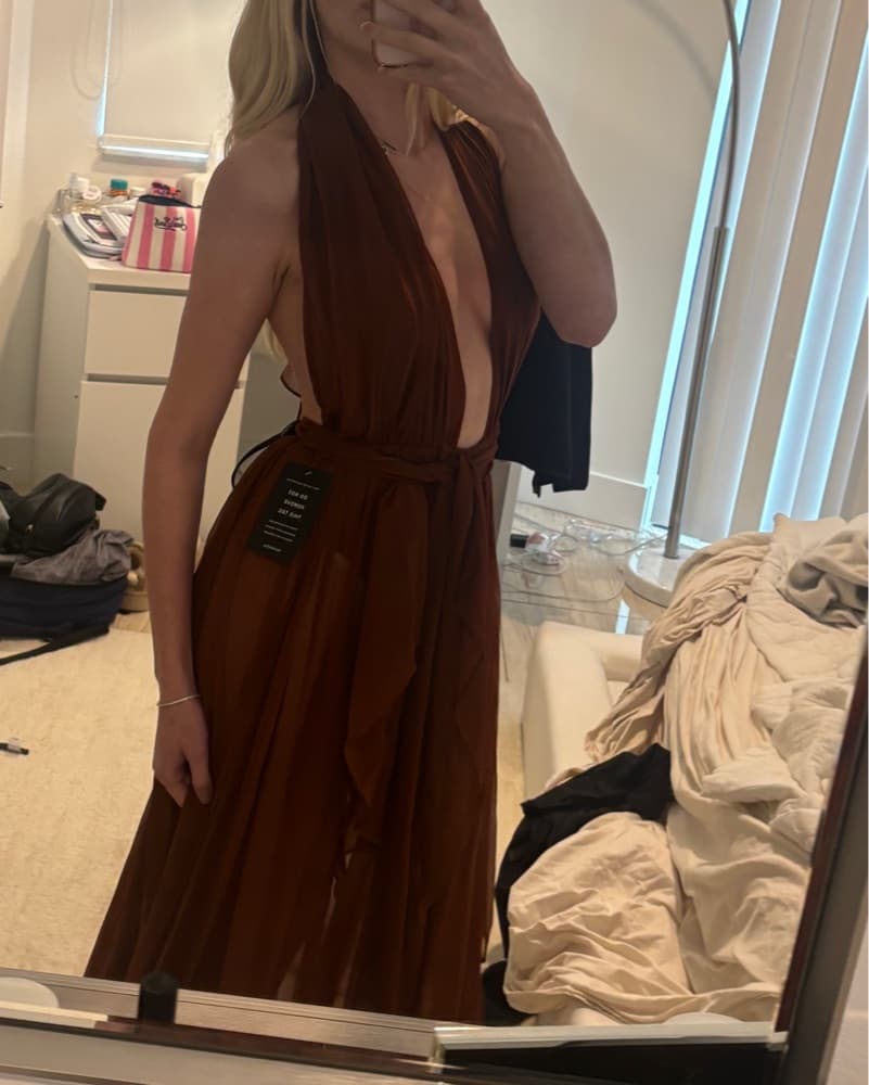 $650 Retrofete Ina Dress in Caramel - Image 5