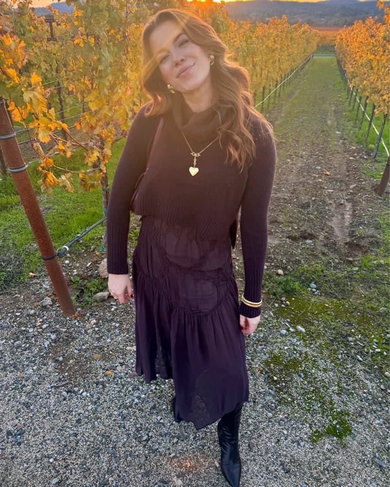 Zara Semi-Sheer Maxi Dress - Image 4
