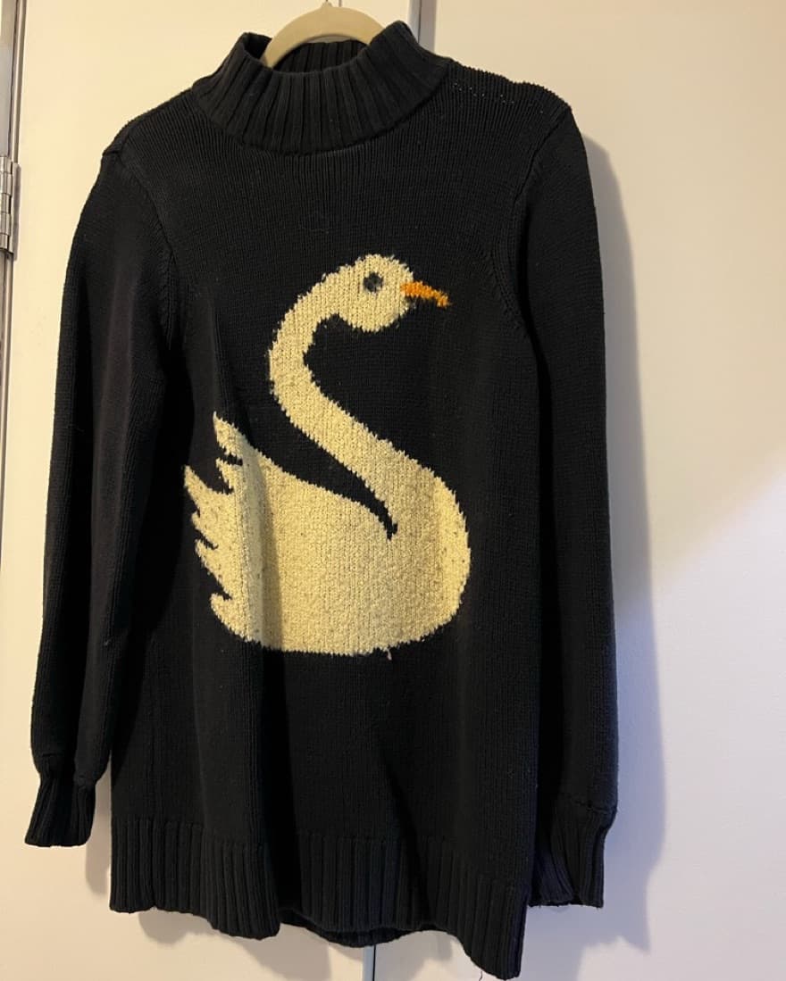 Urban Outfitters Swan Sweater - Image 1
