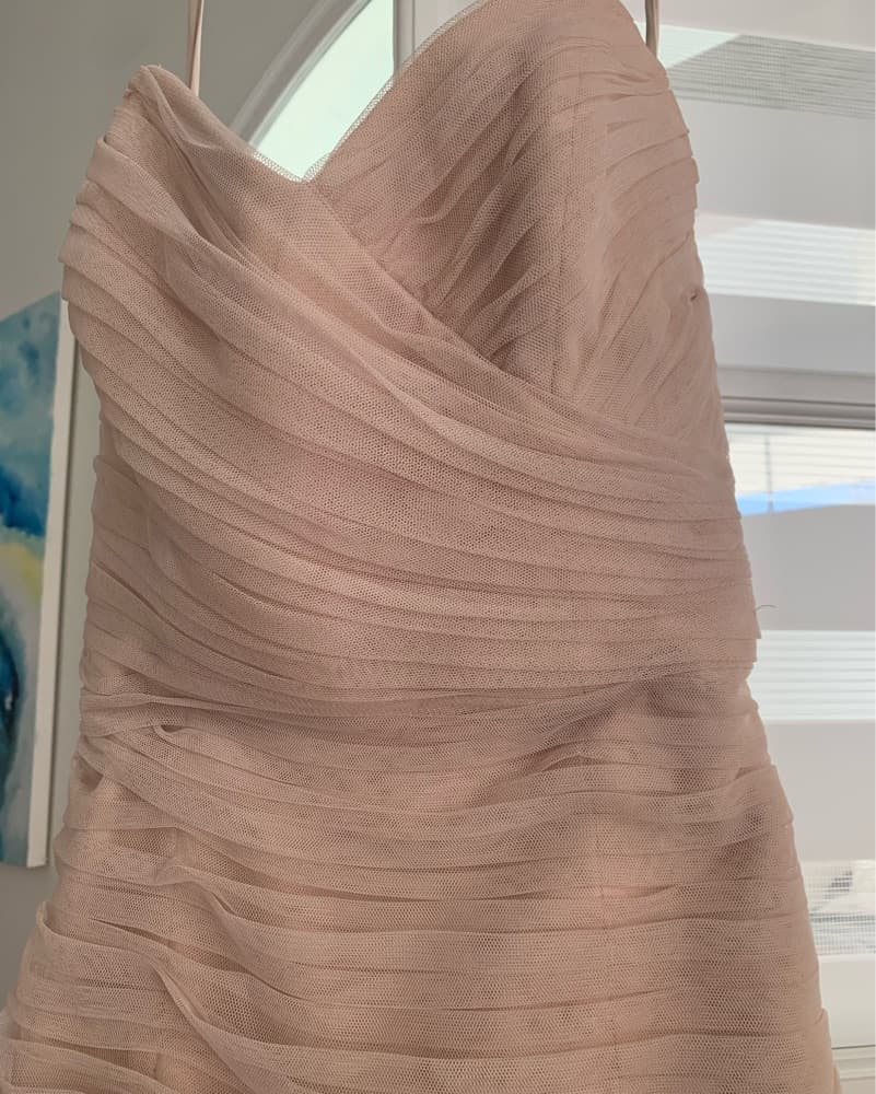 Elegant Blush Tulle Dress Amsale - Image 4