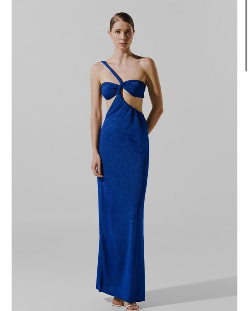 Baobab Noah Maxi Dress  - Image 1