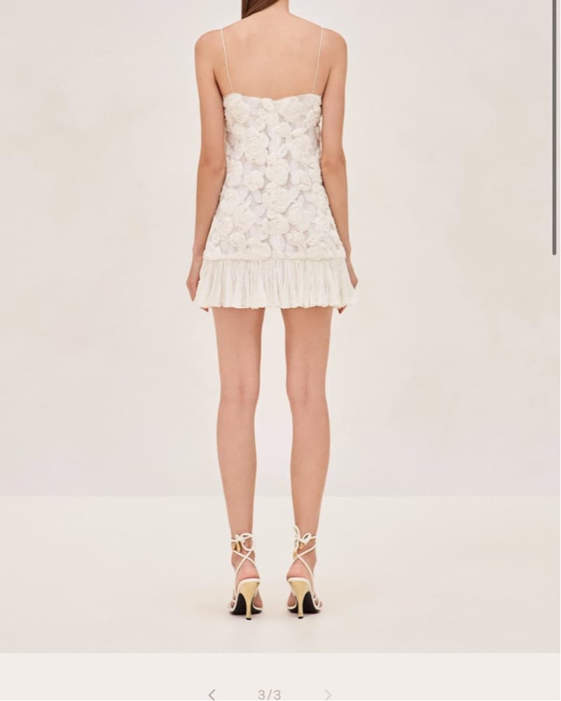 Alexis Blanc Dress - Image 3