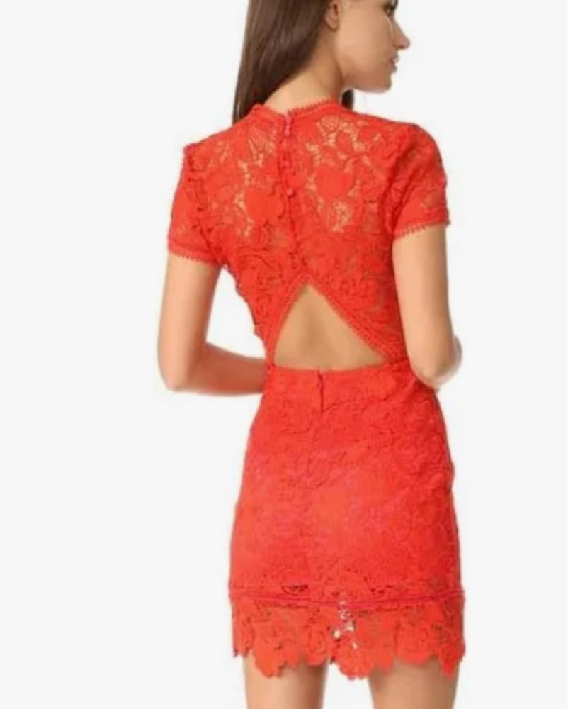 Lovers + Friends Mon Amour Dress - Image 5