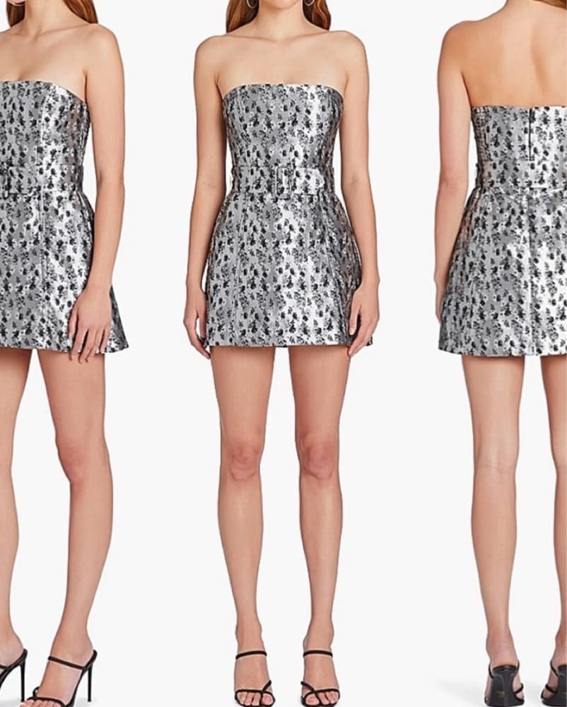 Silver Amanda Uprichard Mini Dress - Image 2
