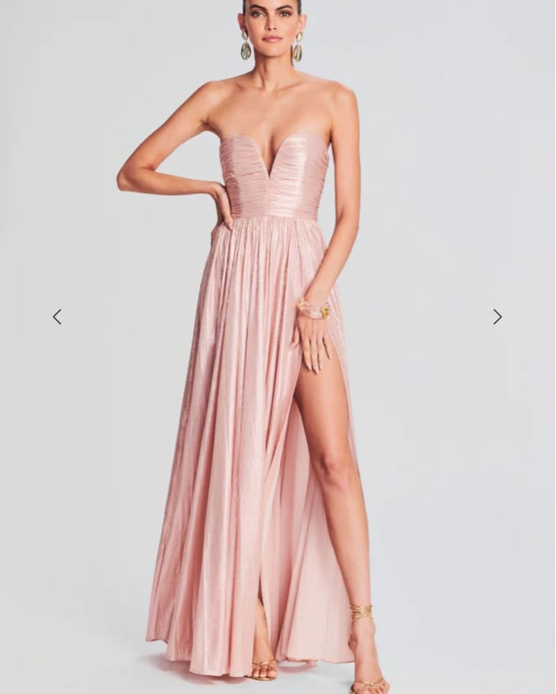 Retrofete Pink Strapless Bustier Gown - Image 1
