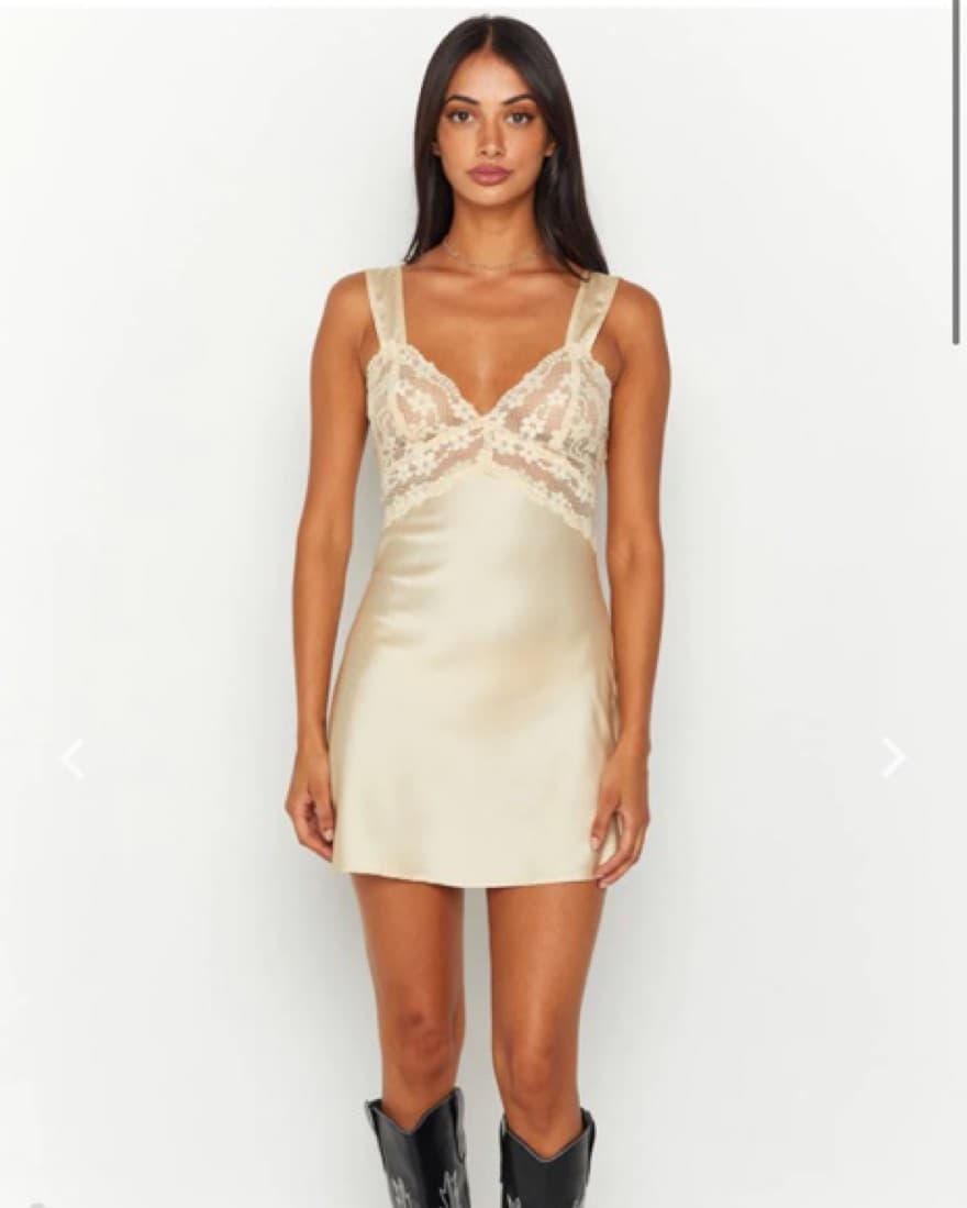 Lioness Lace Dress - Image 1