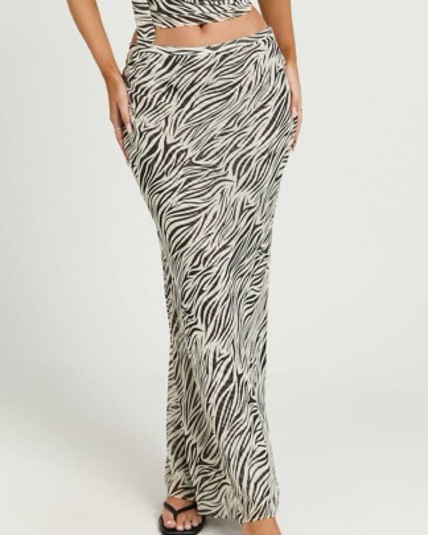 Lioness Zebra Set - Image 4