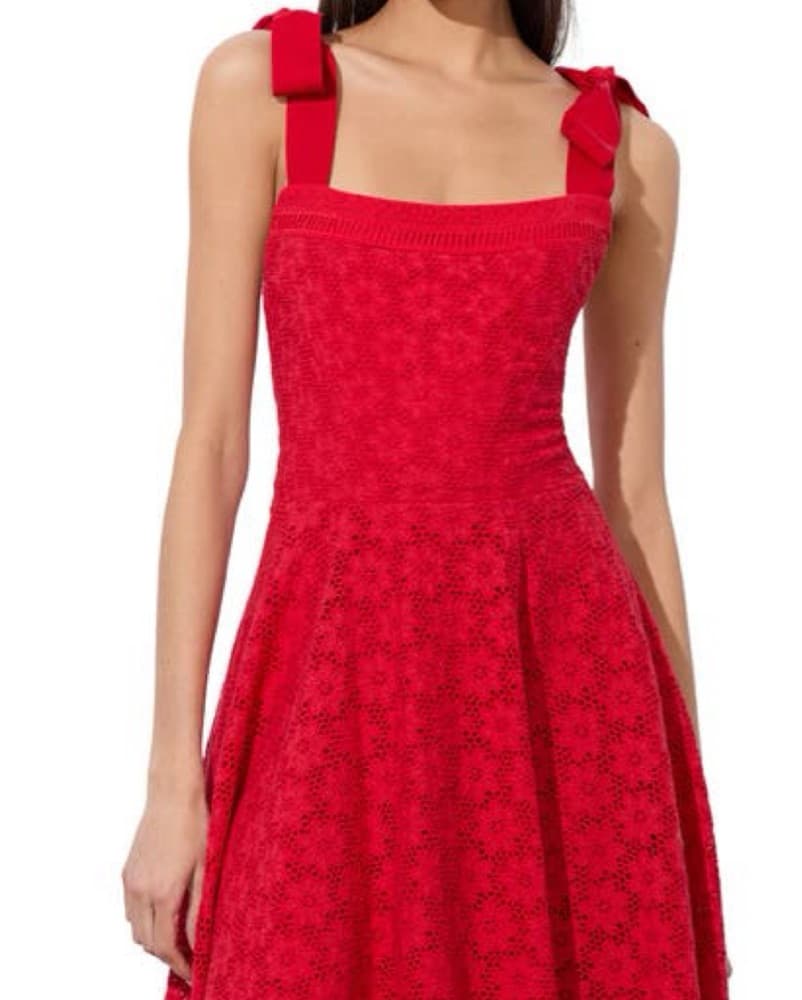 Alice & Olivia Red Lace Maxi Dress - Image 4