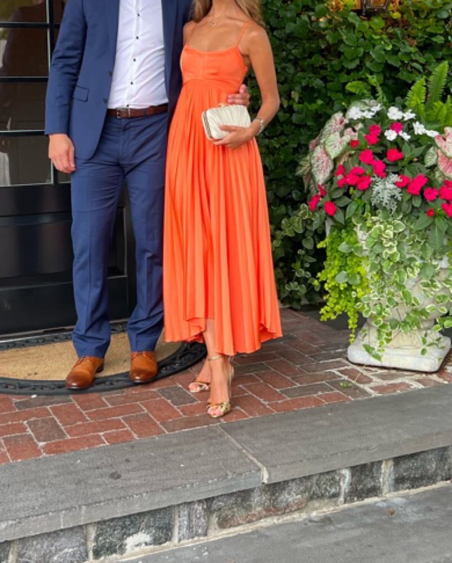 ALC Dress - Image 1