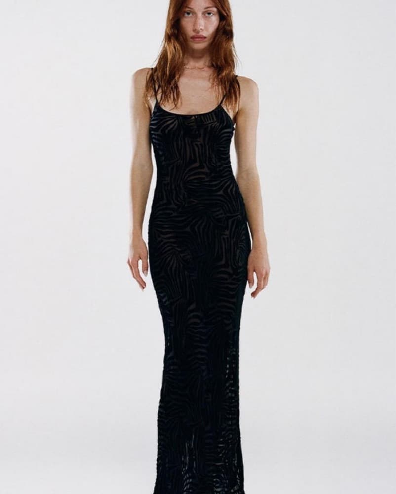 Sheer Zebra Dress - Image 1
