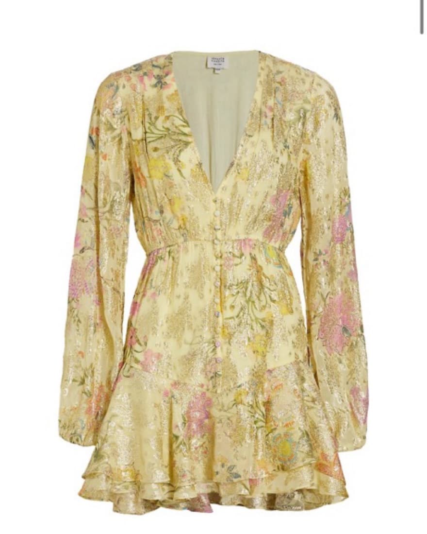 Hemant & Nandita Pria Metallic Dress - Image 5