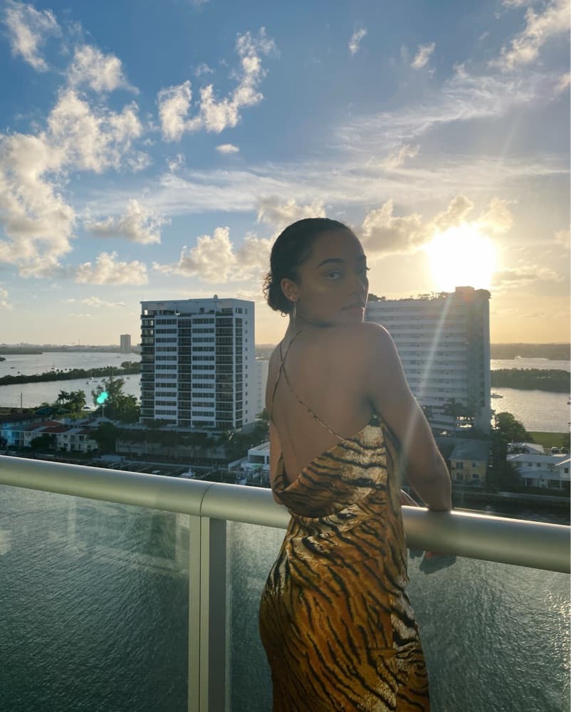 Tiger Slip Sain Dress - Image 1