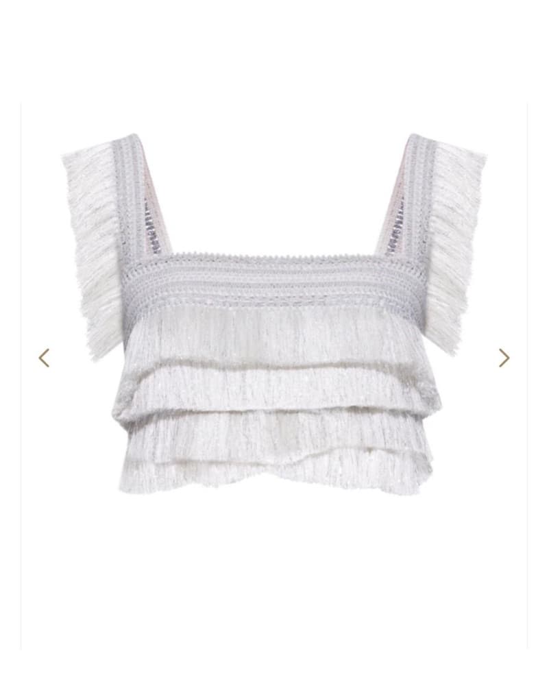 PatBo Silver Fringe Crop Top - Image 4
