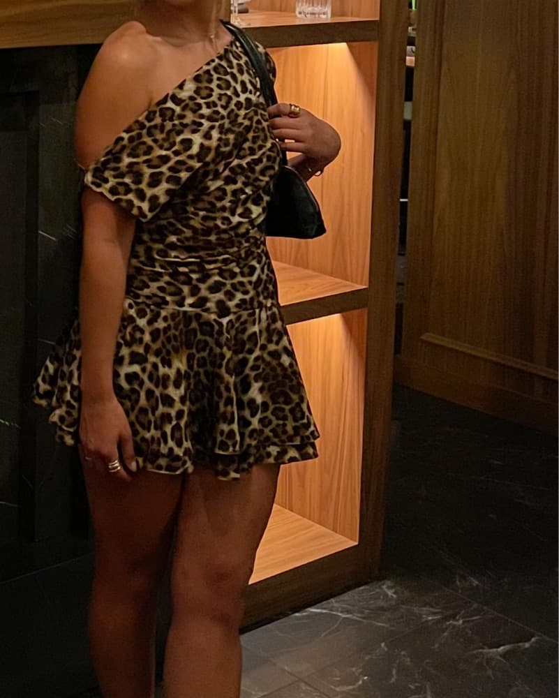 Leopard Mini Dress  - Image 2