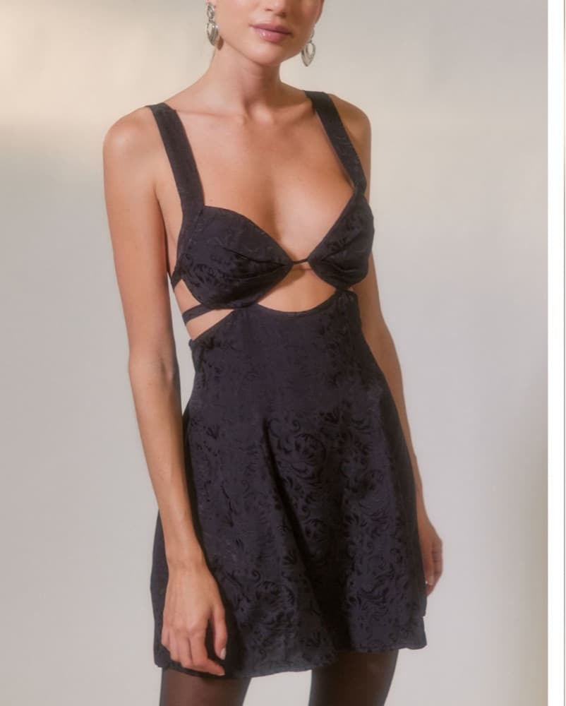 For love & lemons alice mini dress - Image 1