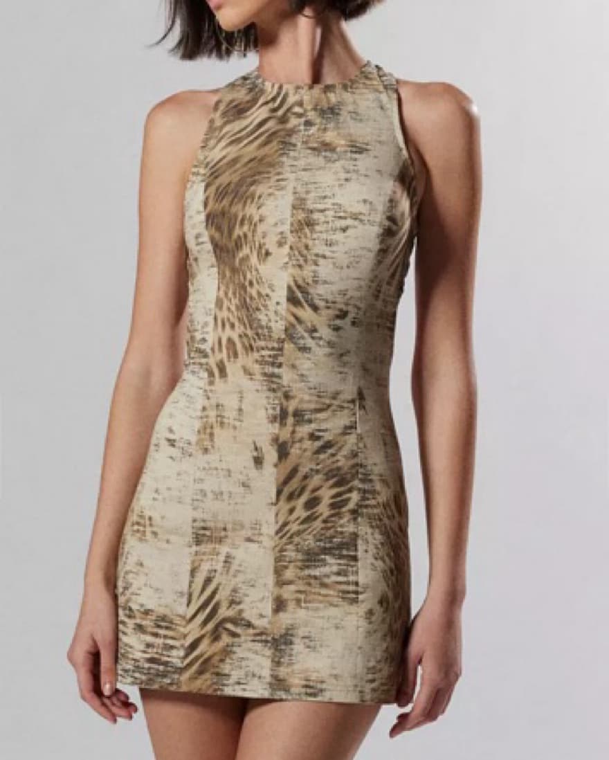 Mini Leopard Print Dress - Image 1