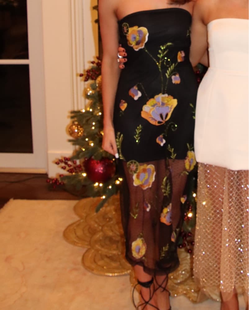 Walter Baker Midi Dress - Image 1