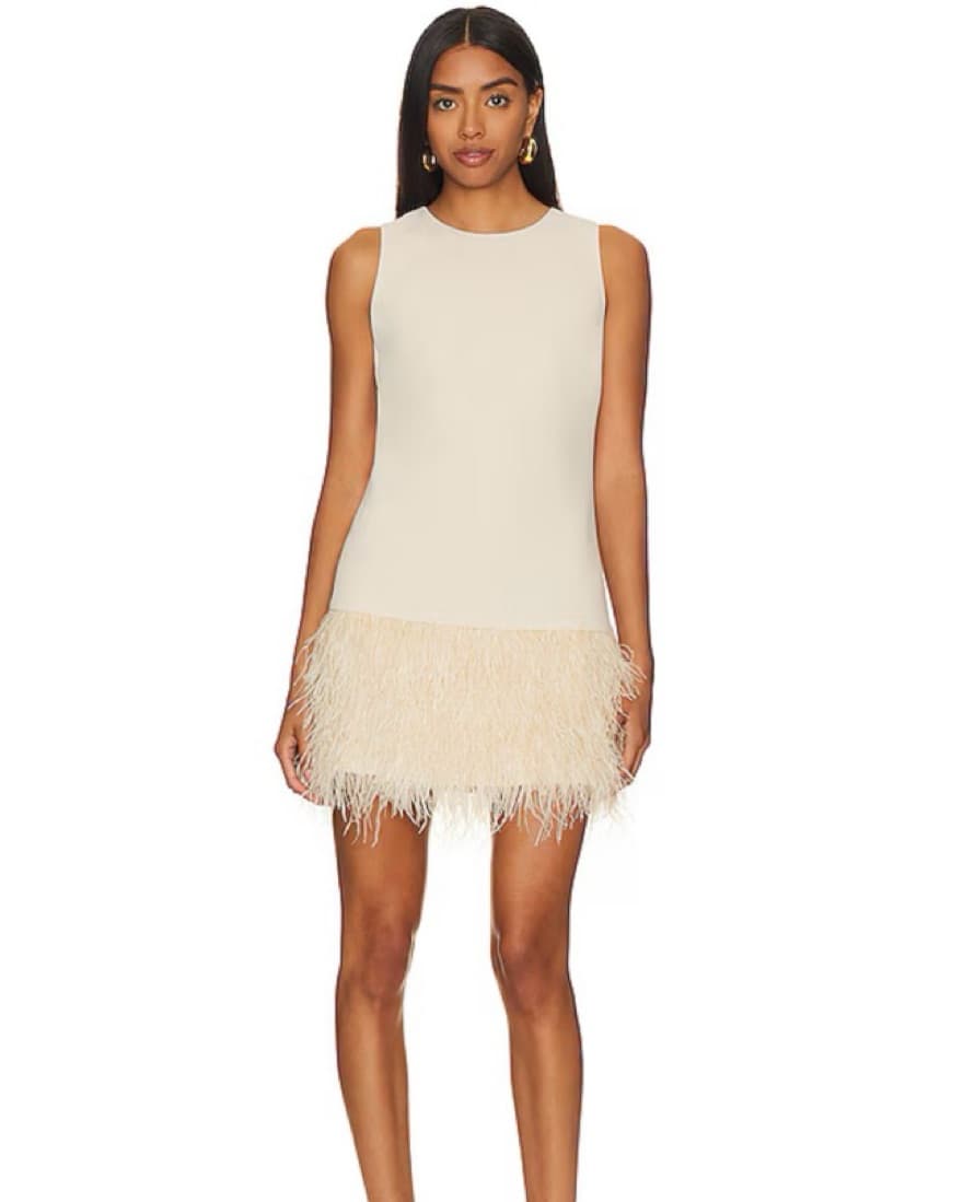 Alice & Olivia Feather Dress  - Image 1
