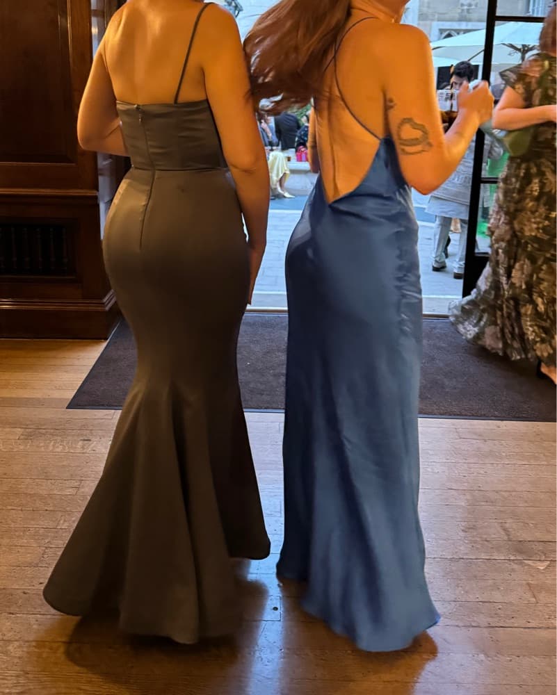 Michelle Mason Blue Low Back Silk Gown  - Image 6