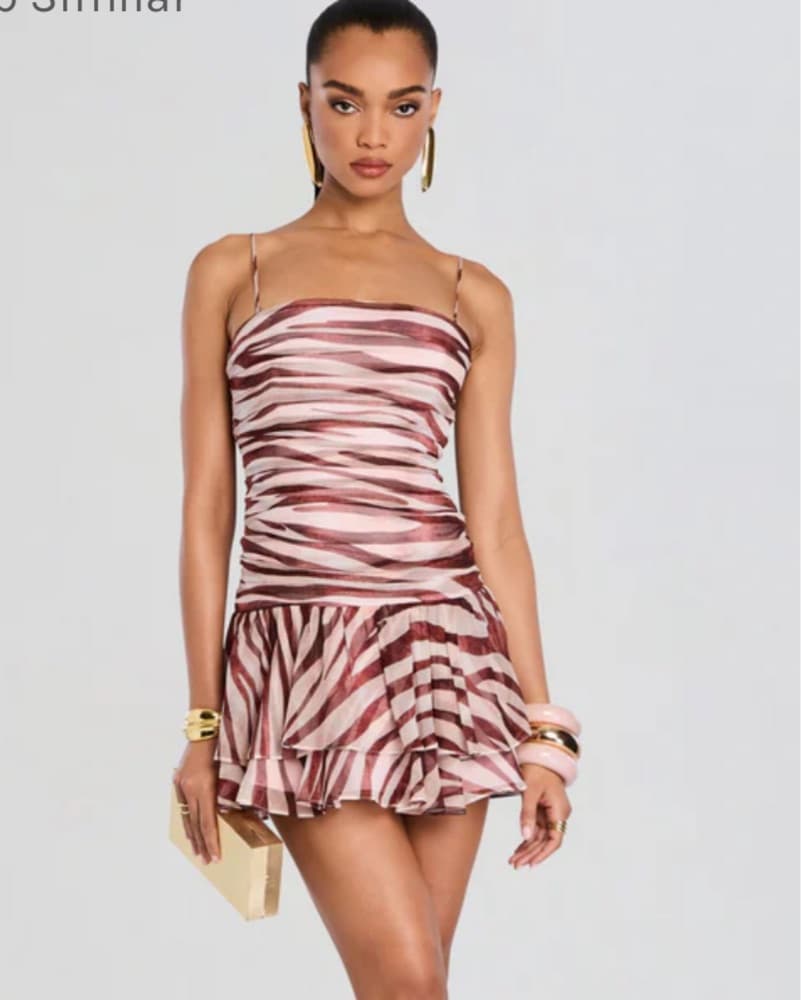 Retrofete Zebra-Inspired Mini Dress - Image 1