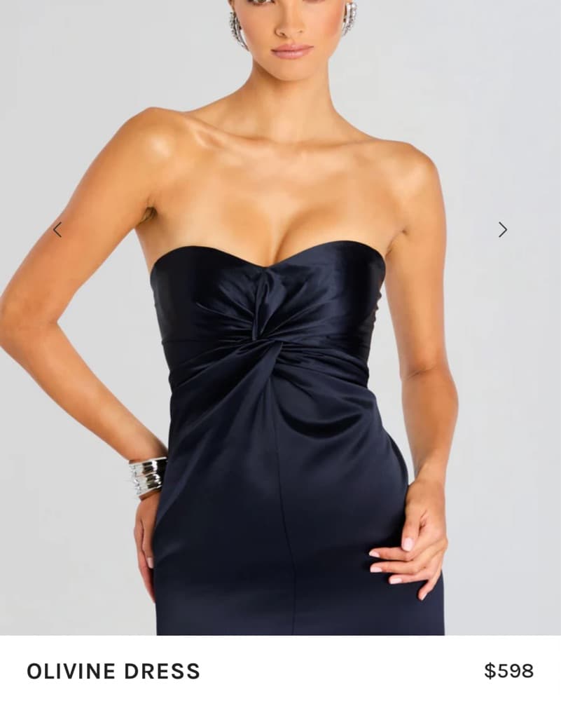 Retrofete Olivine Dress - Image 2