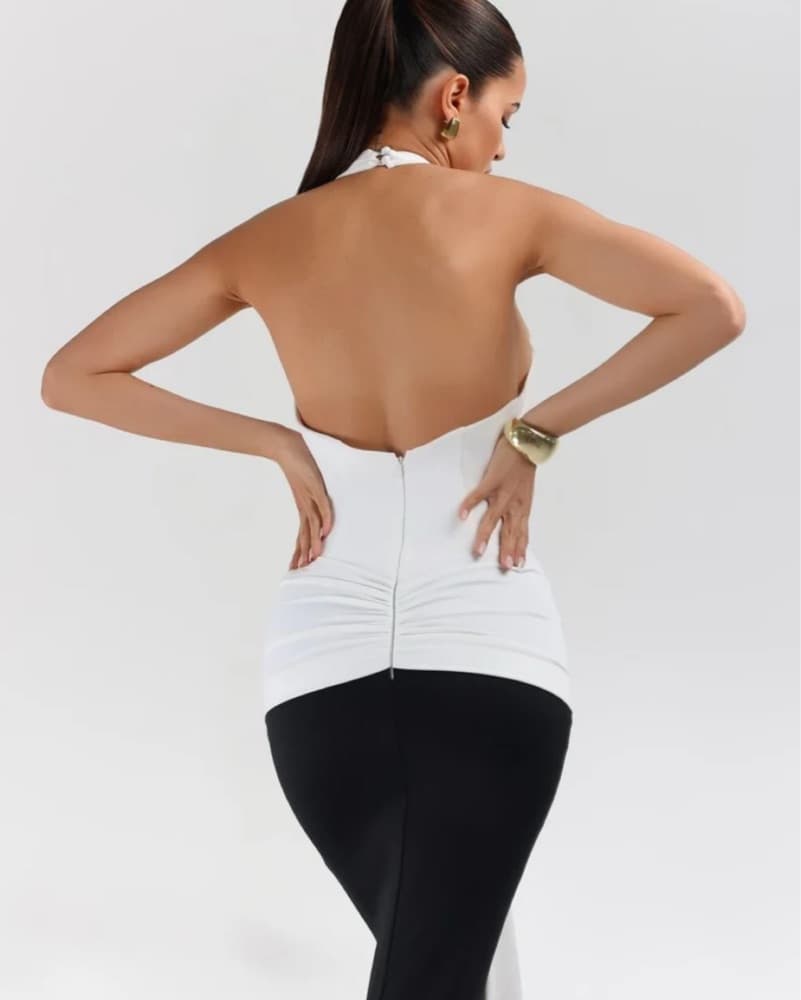 Captivating Halter Neck plunging Gown - Image 3