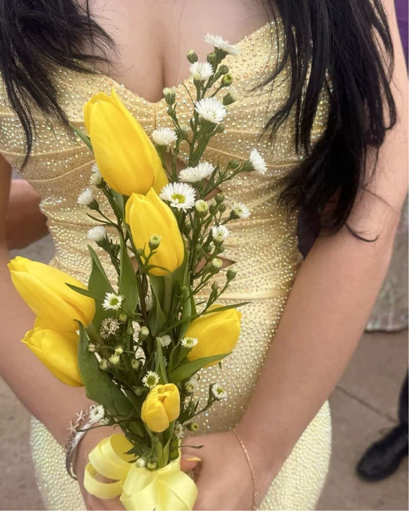 Yellow Sheri hill 56932  - Image 3