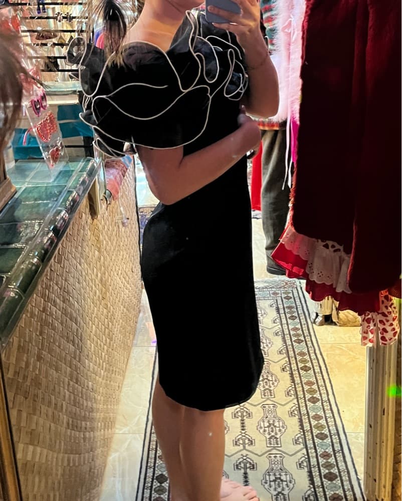 Vintage Formal Statement Ruffle Dress - Image 4