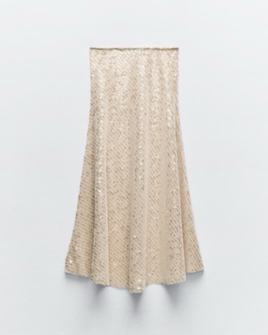 Sequined Crotchet Skirt  - Image 1