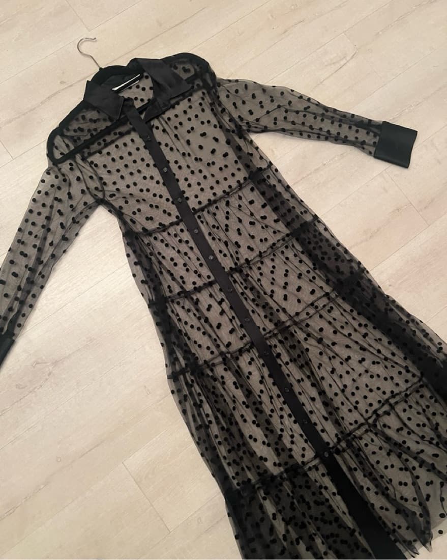 Zara Polka Dot Sheer Dress - Image 4