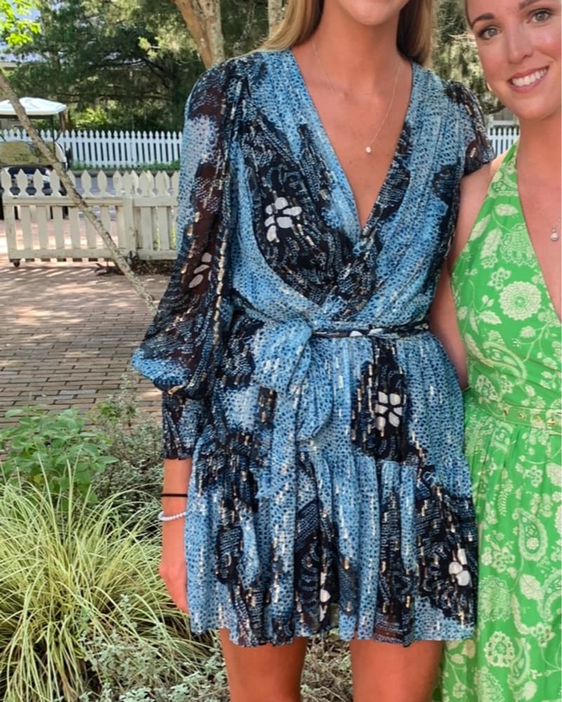 Ulla Johnson Noemi Dress - Image 1