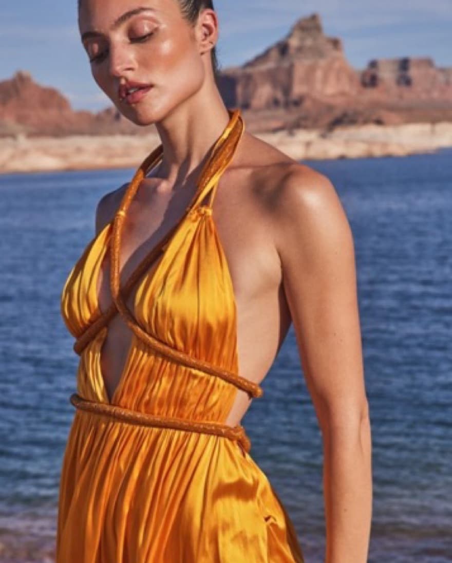 Cult Gaia Salee Gown In Marigold - Image 4