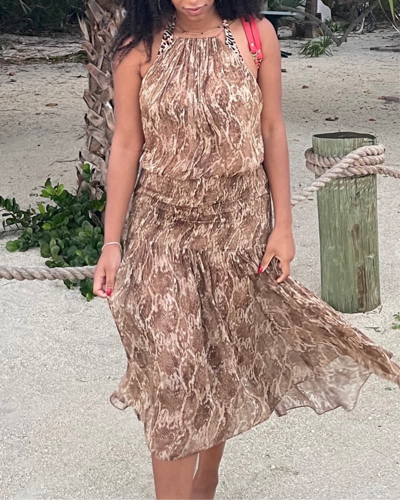 Animal Print Beach Deess - Image 3