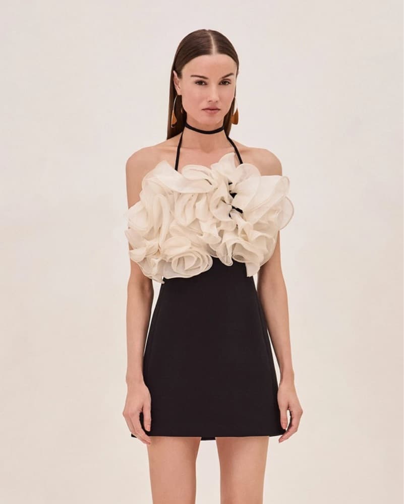 Alexis Aisha Dress  - Image 1