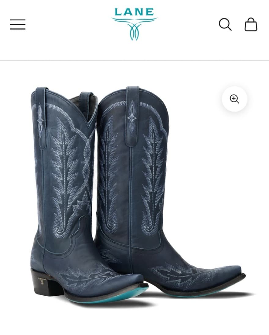 Classic Western Boots - Image 1