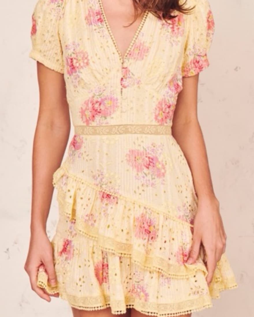 LoveShackFancy Mini Dress - Image 3