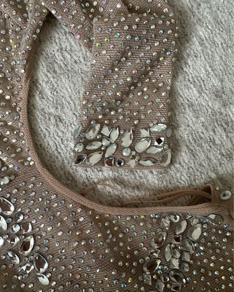 Skin Tan Rhinestones & Feather Dress - Image 4