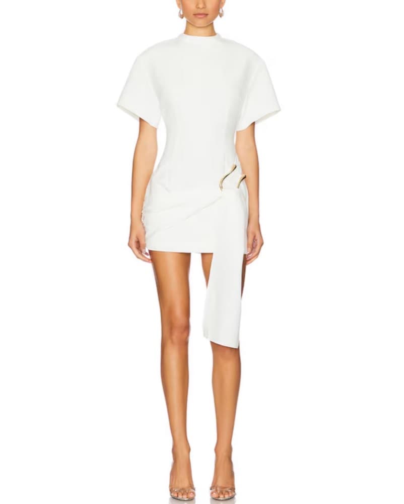 Lioness Martini Mini Dress - Image 1
