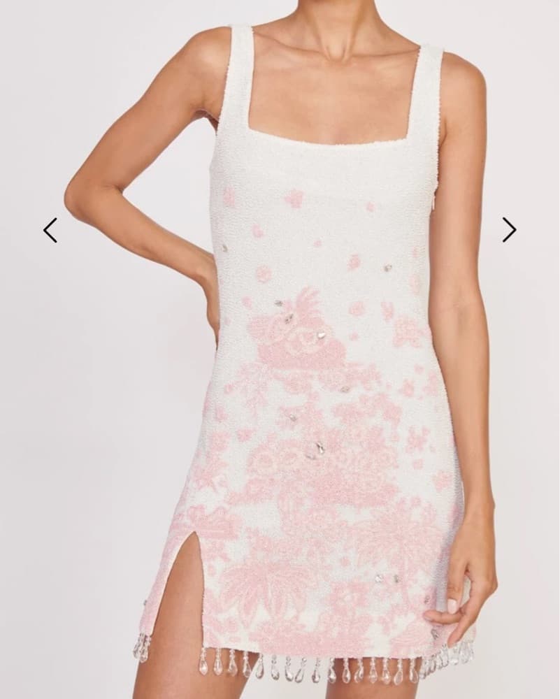 Pink Toile Le Sable Dress - S - Image 2