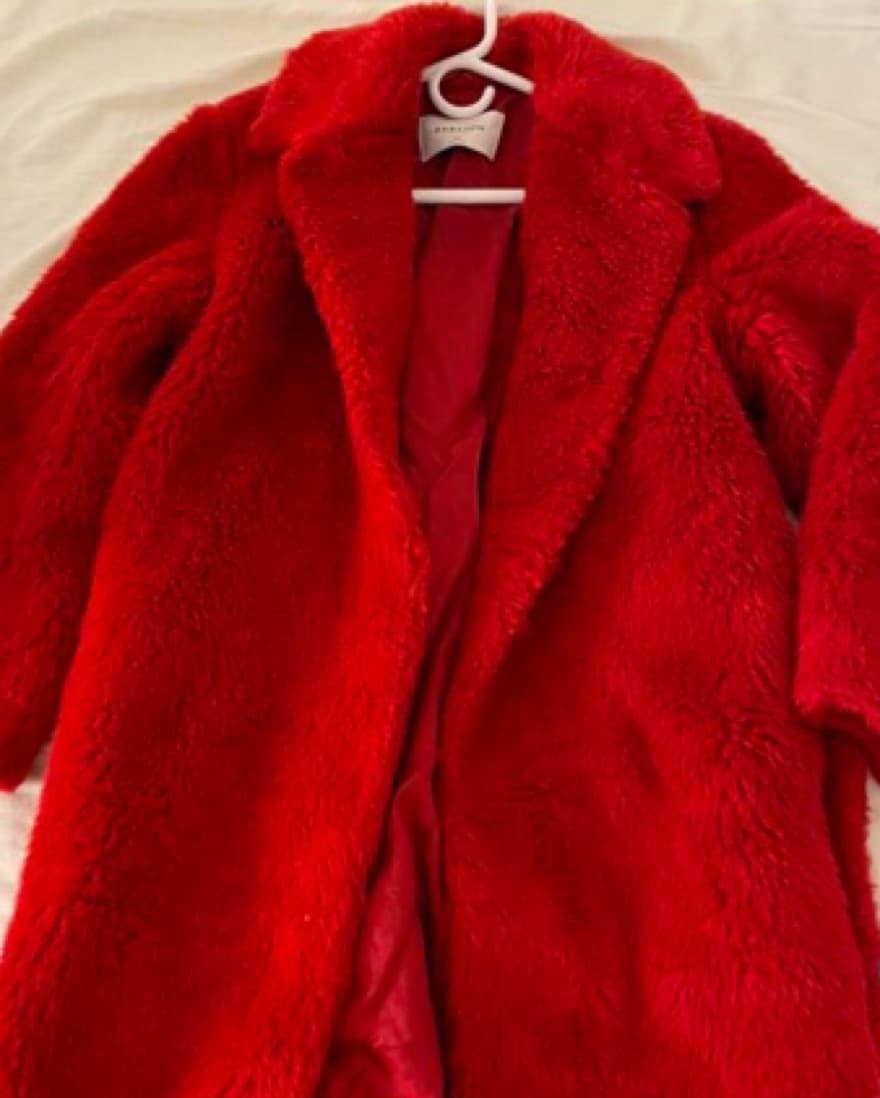 Aritizia Babaton Oren Coat - Image 3