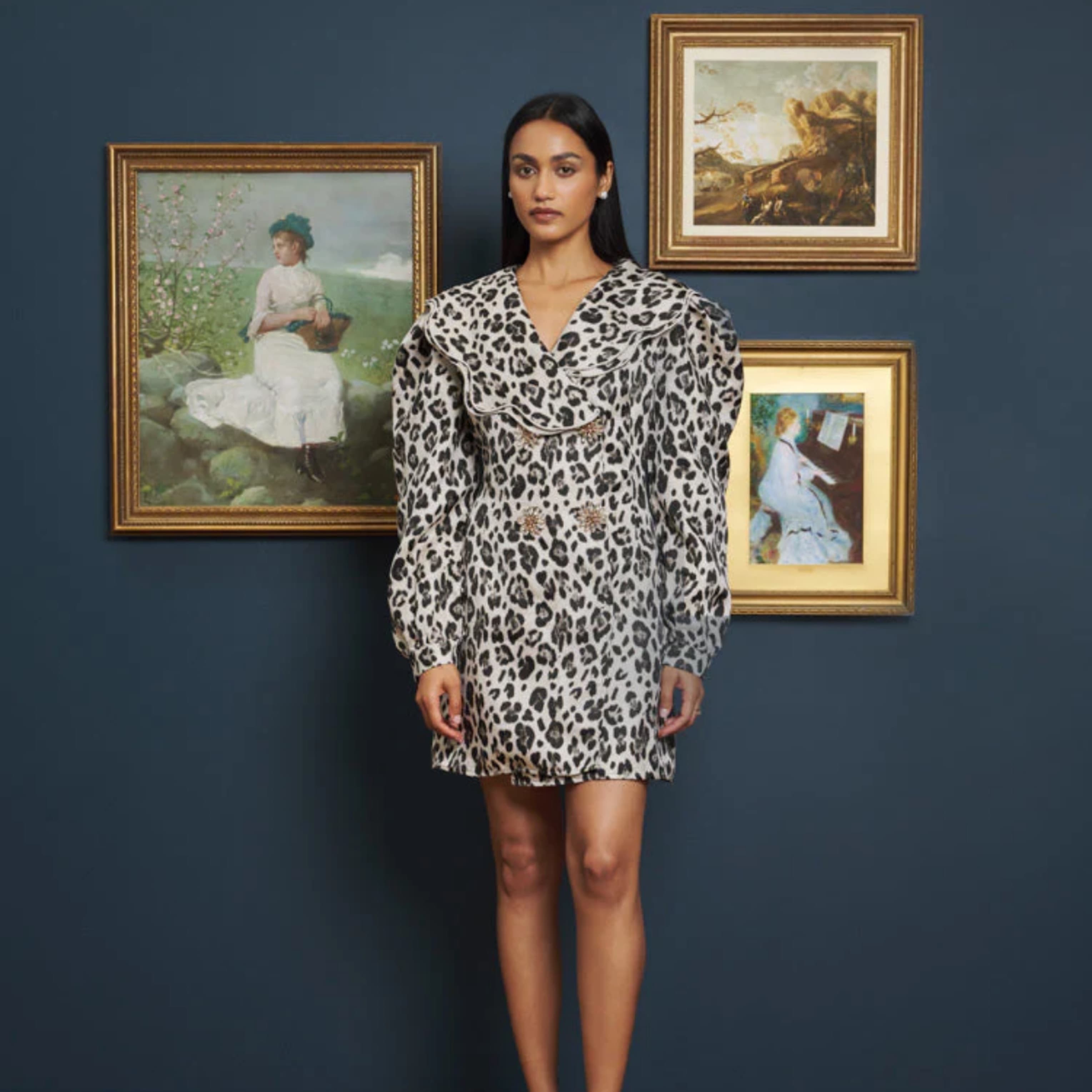 Leopard Print Mini Dress - Image 4