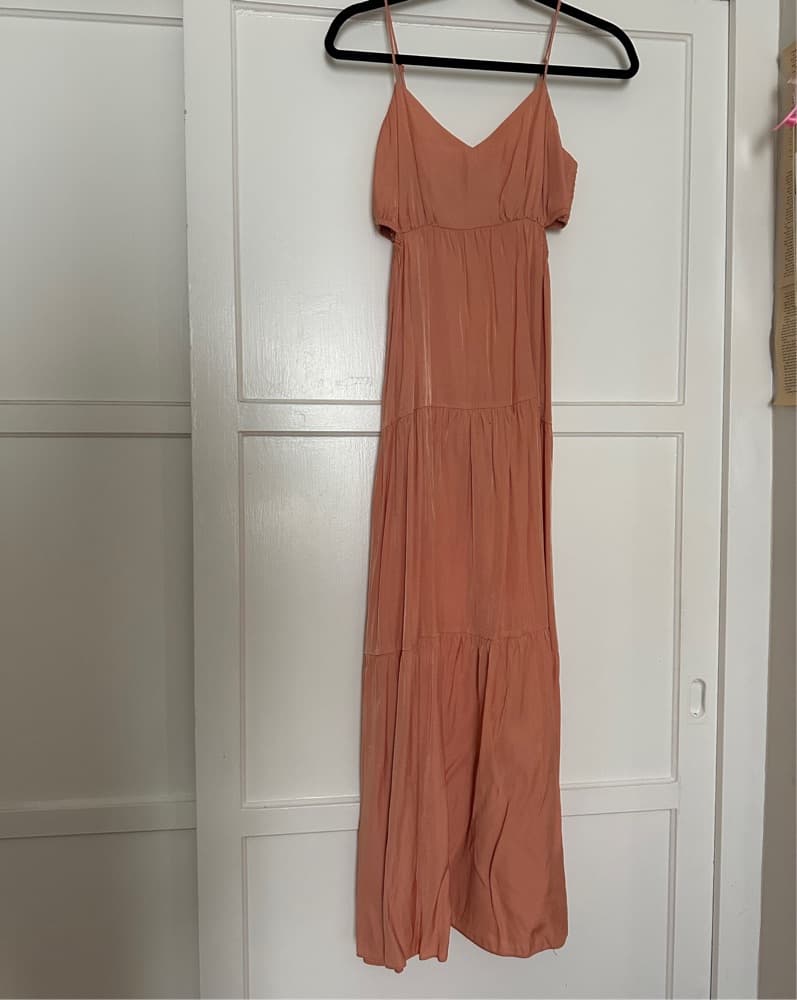 And Now This Long Peach Maxi Dress - Image 3