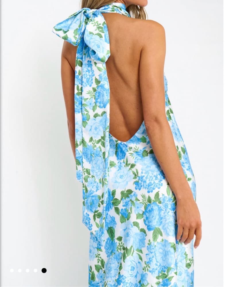 Show Me Your Mumu Lisa Maxi Dress - Image 5
